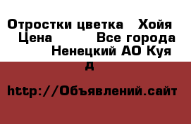 Отростки цветка  “Хойя“ › Цена ­ 300 - Все города  »    . Ненецкий АО,Куя д.